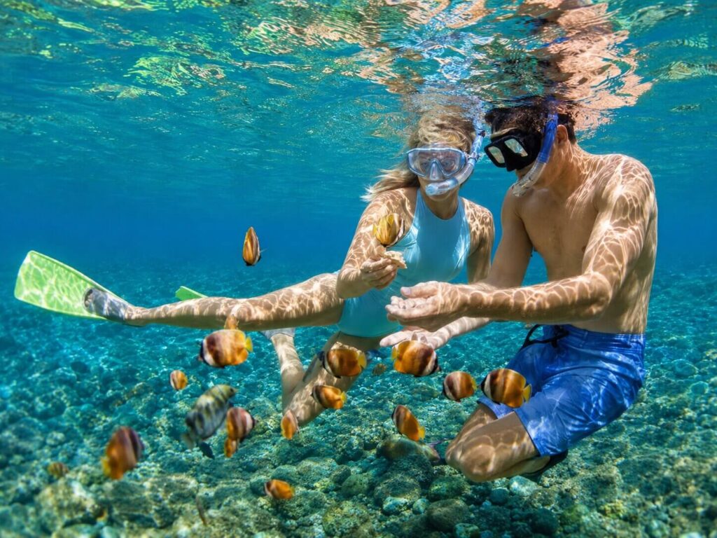 Two snorkelers swimming among tropical reef fish in Oahu's clear water